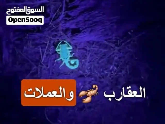 كاشف العقارب