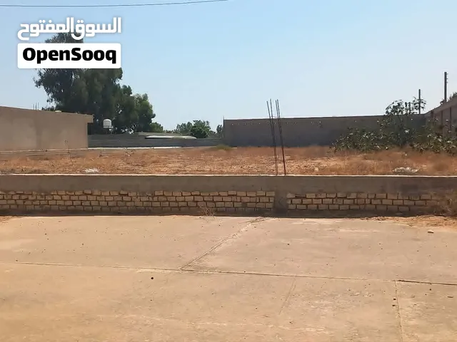 أرض استثمارية متميزة للإيجار – موقع استراتيجي على الطريق الرئيسي مساحتها 5000 متر مربع