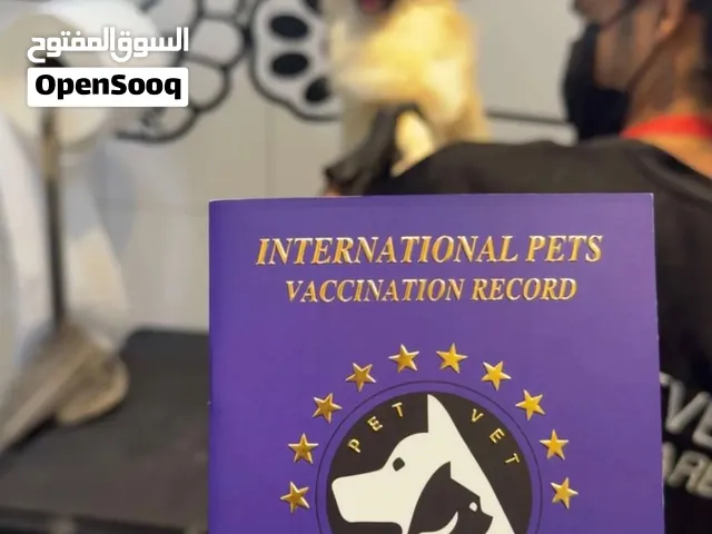 كلب بومارنين