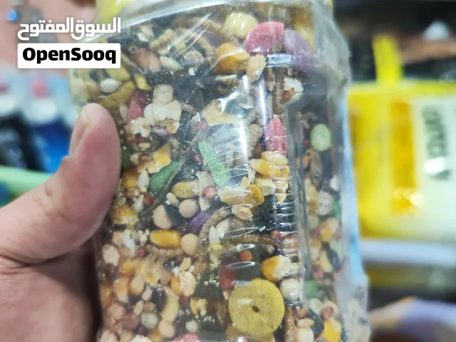 اكل ارانب وهامستر وسنجاب