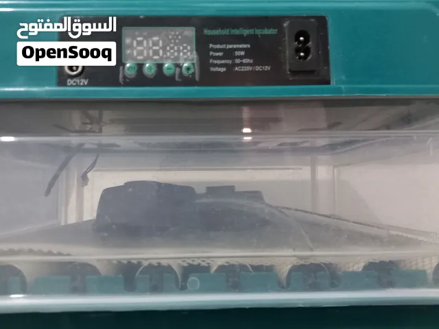 حظانه 50 دحيه ربي يبارك