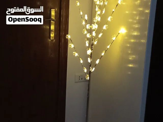 شجرة مضيئة صحراوي مميزة جديدة للبيع
