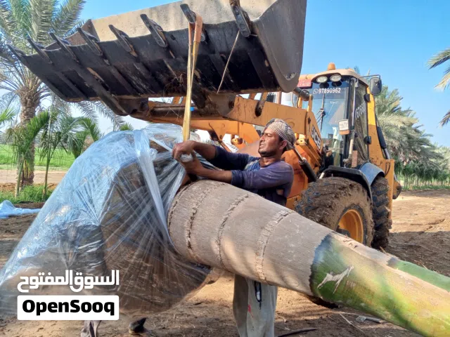 للبيع رويال واريكا بالم ومثمر وزرينه وظلي