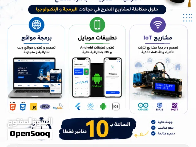graduation programming projects assistance