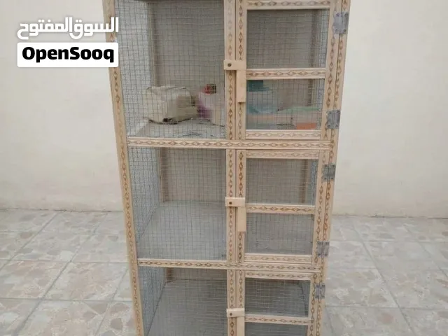 3 خانات للطيور