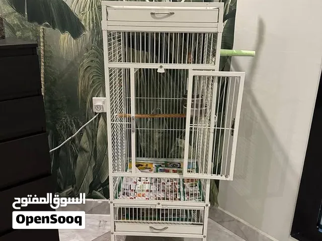 Large Parrot Cage with Play Top & Wheels — WhiteSpacious white metal parrot cage in excellent condit
