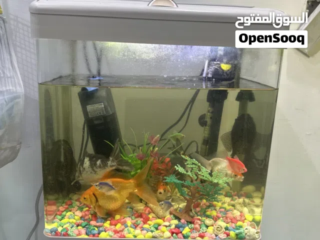 للبيع حوض سمك كامل باغراضه مع اسماك