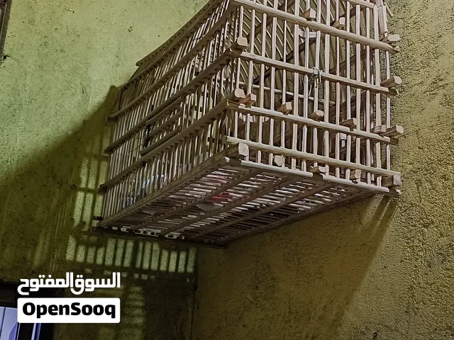 سلام عليكم متااح قفص بصيوي طول 80رتفاع 6سعره 100