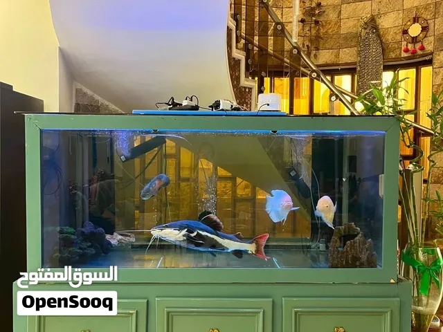 حوض سمج صاج دمياطي ثقيل تصميم خاص من مصر