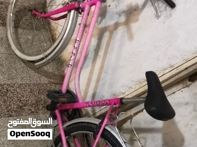 BICYCLE (KIDS AND ADULTS)
