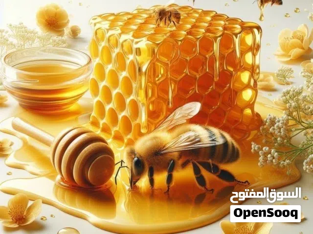 مناحل وعسل الشهد الجبلي