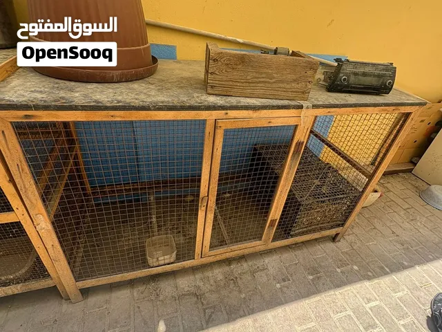 قفص حجم كبير