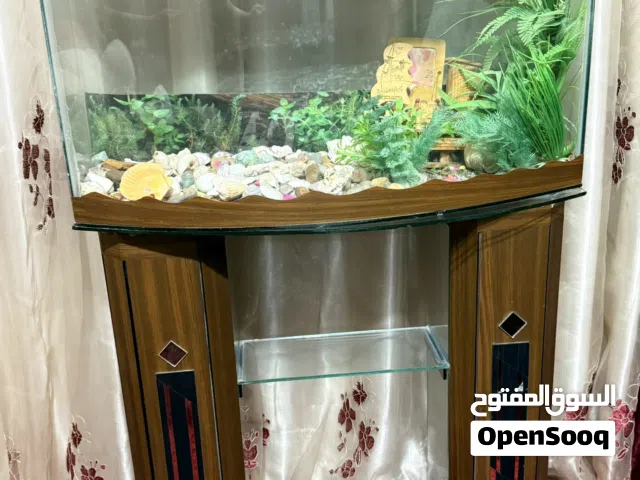 حوض سمك بحالة ممتازة