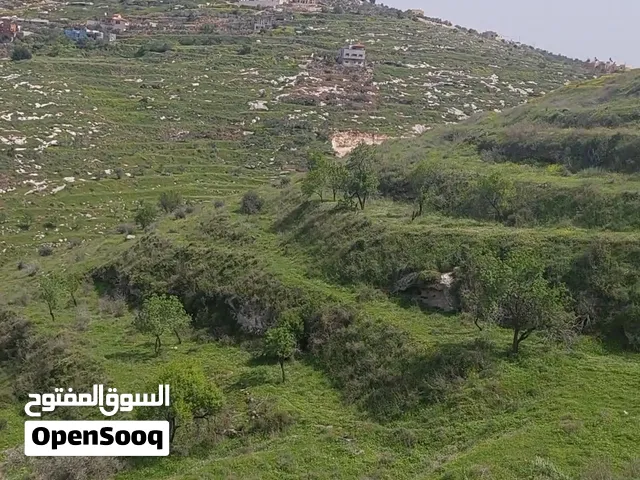 ارض للبيع في بيت ليد كوشان طابو 1150 متر منطقة أ سلطة. اطلالة رائعة، قريب على الخدمات.