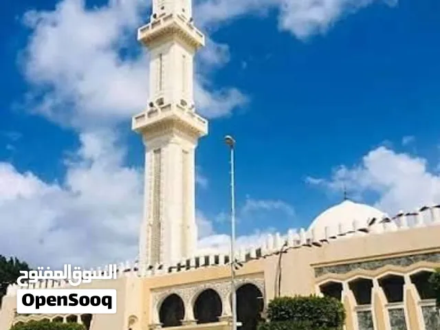 شقة في بن عاشور خطوات من الرئيسي بن عاشور وقريبة من كل شي - نص مفروشة - للإستثمار أو السكن