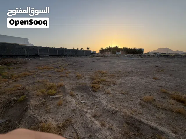 ارض تجارية للبيع حي الغابة او الخليل المدينة المنورة مساحة 3469 متر