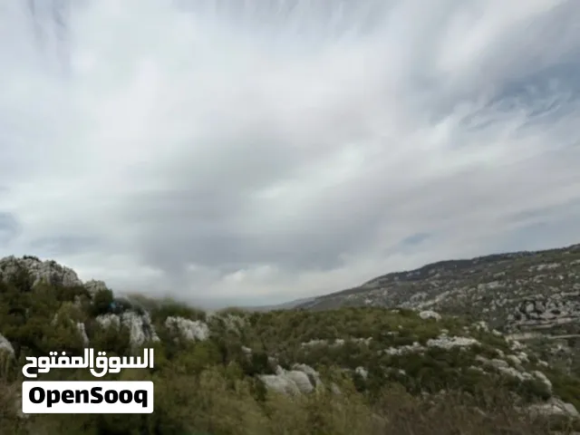 استثمار فلبنان أرض موقع مميز مطروحة للبيع بسعر مغرٍ جدًا وللمشاريع وثائق ومستندات وفيديو عند الطلب