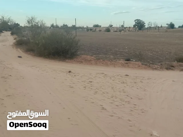 قطعة ارض وجران محترمين