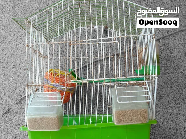 قفص عصافير مستعمل بكامل ملحاقاتة للبيع