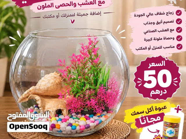حوض سمك زجاجي كبير للزينة مع عشب وحصى ملون + أكل سمك مجانًا