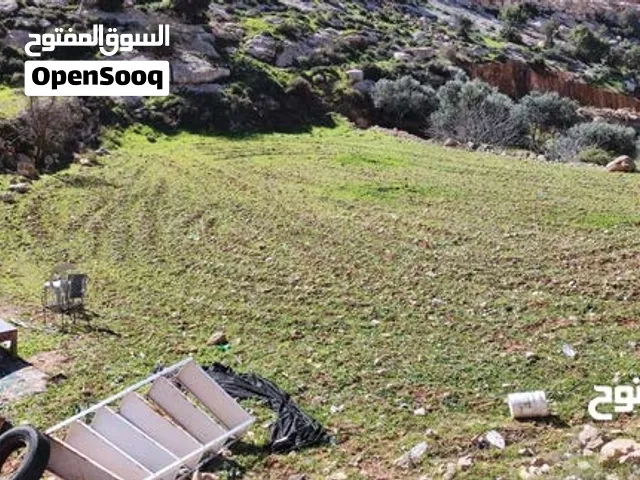 ارض تصنيف أ منطقة الصرة