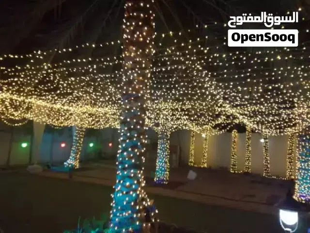 Wedding Fairy Lighting Rental Muscat  Candle Effect Decor Lights  Wedding & Event Decoration