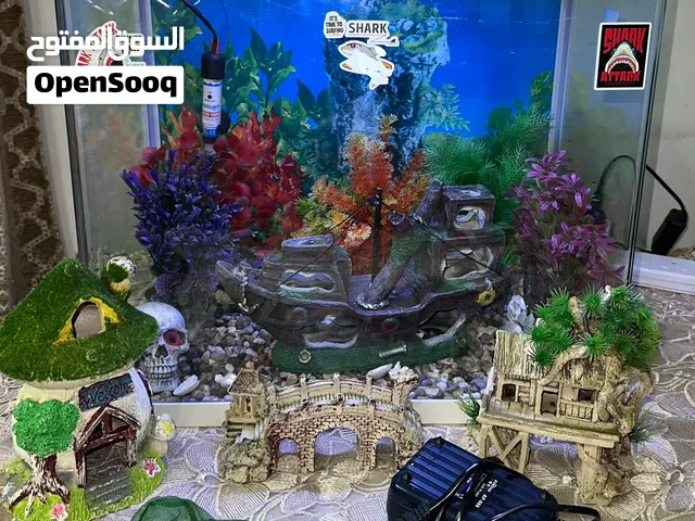 حوض سمك كامل مستعمل للبيع