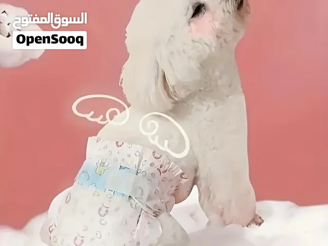 حفاضات كلاب