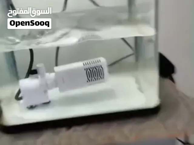 حوض سمك صغير