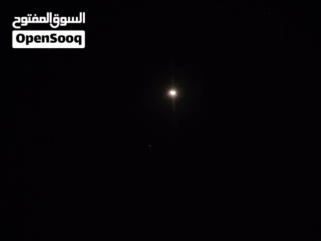مطلوب فروج ابيض عربي او فرنسي مع عرض السعر والمكان