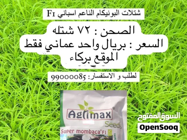 شتلات البونيكام الناعم الاسباني F1 ، سماد عضوي مخصب