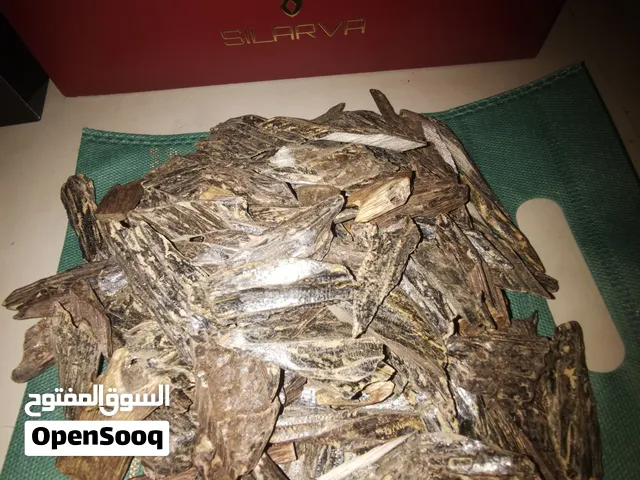 عودهندي وهودازرق