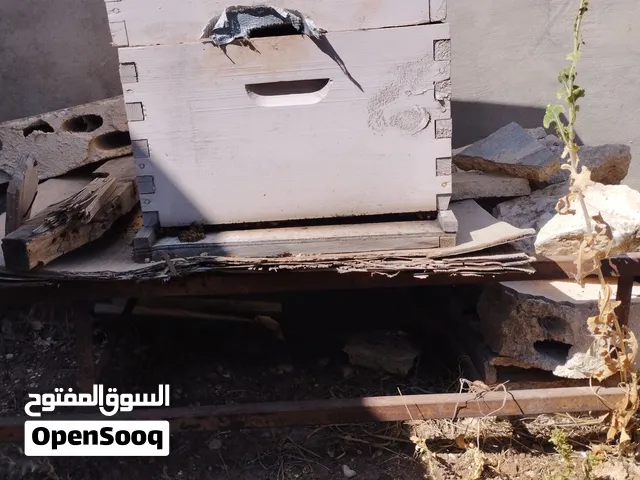 خلية نحل طابقين