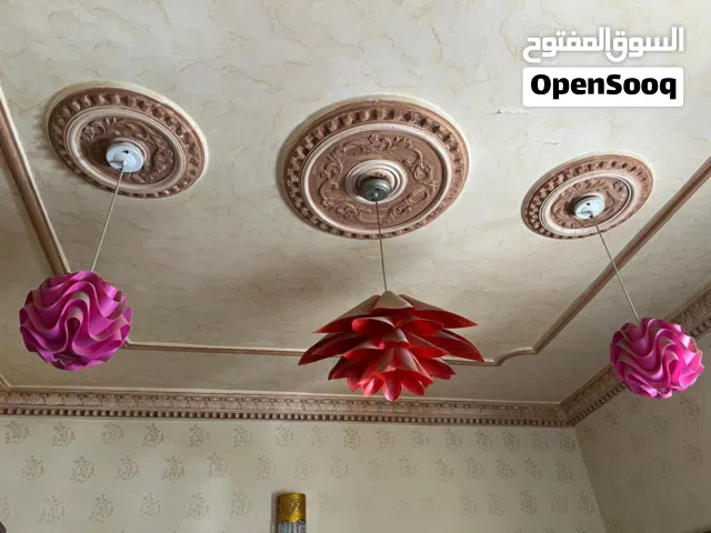 نجفات صغار واثنين كبار