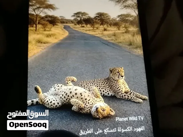 Realme C51 128 GB in Baghdad