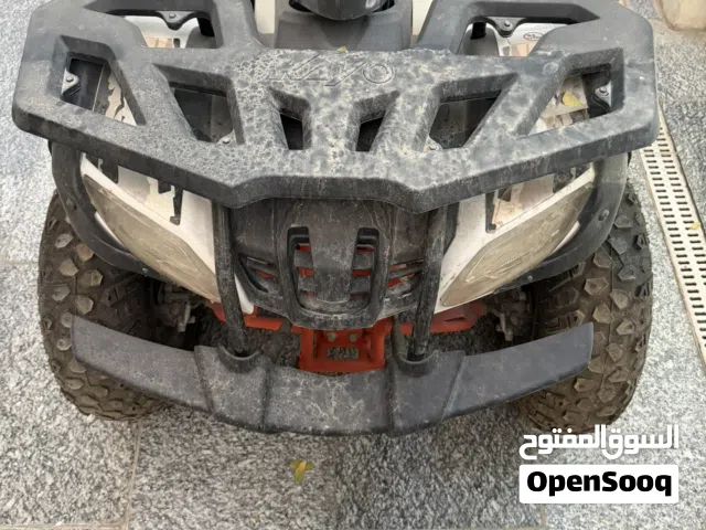بكي كايو 2023