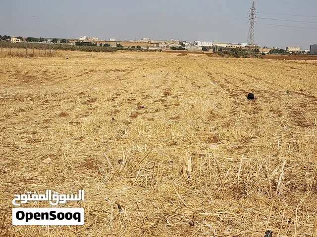 Farm Land for Sale in Irbid Irbid Mall
