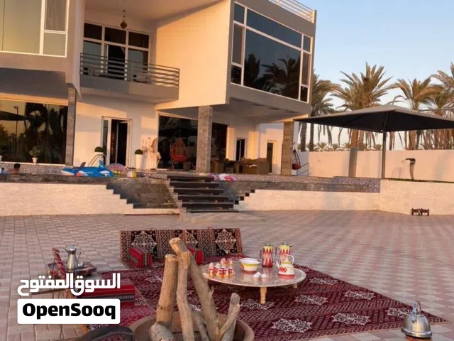 فرصه لتملك واحده من افضل وارقي مزارع ببركه بموقع مميز واستثمار عالي