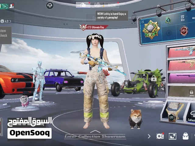 Pubg Accounts and Characters for Sale in Southern Governorate
