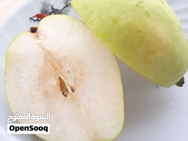 نجاص وطني سكري عسل الله يبارك قطاعي وجملة.