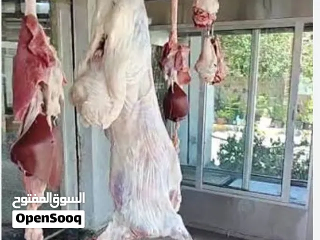 يوجد خرفان لحم بلدي الوزن صافي 25 الكيلو بدون معلاق وراس 10 دنانير مذبوح ومقطع كميات