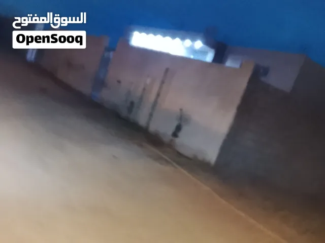مطلوب كلب جيرمن شيبرد