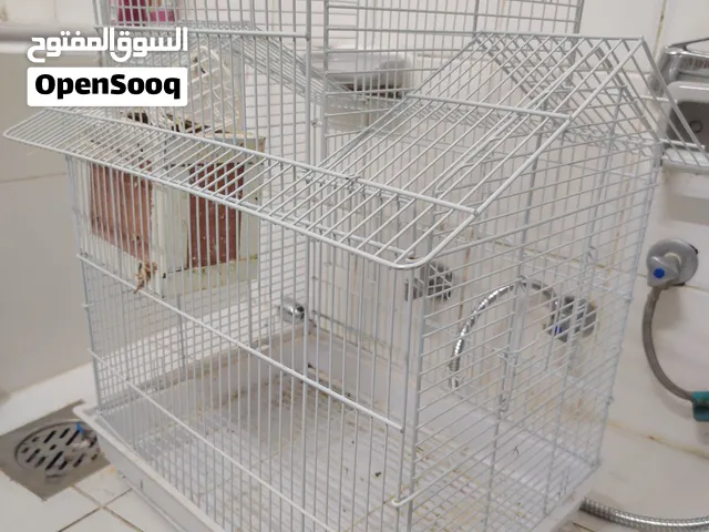 قفص الطيور