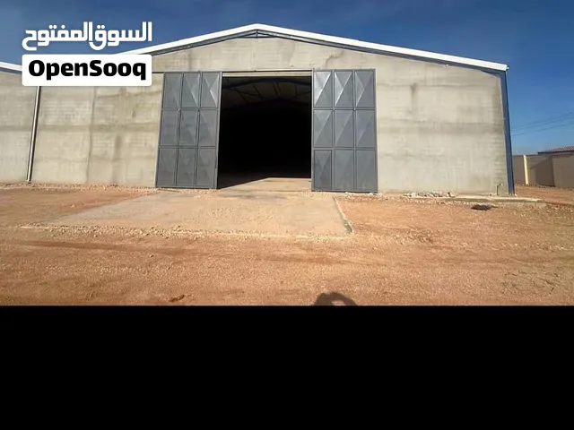هنقرين على هنقر واحد وسعر ايجار متتخيلش بكل