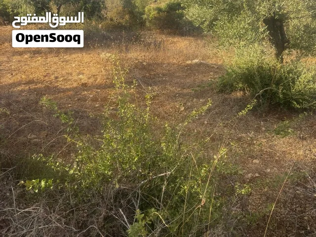 ارض للبيع في واد كوبر -برهام بعد المسبح على الشارع الرئيسي السعر لقطة