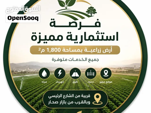 فرصة استثمارية مميزة في صحار (ارض زراعية)