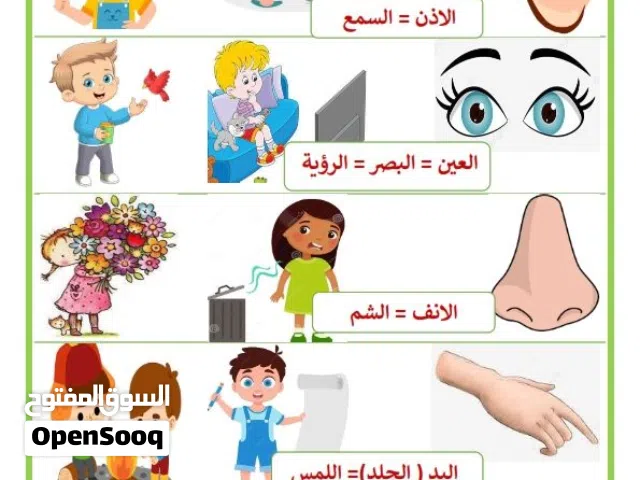 ASL تعليم اللغة العربية لغير العرب