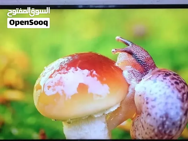شاشه بانسونيك ممتازه