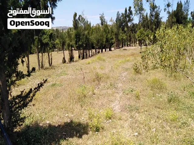 إعلااااااان أرض كبيرة وباهية للبيع فرصة استثمارية ما تتعوضش!