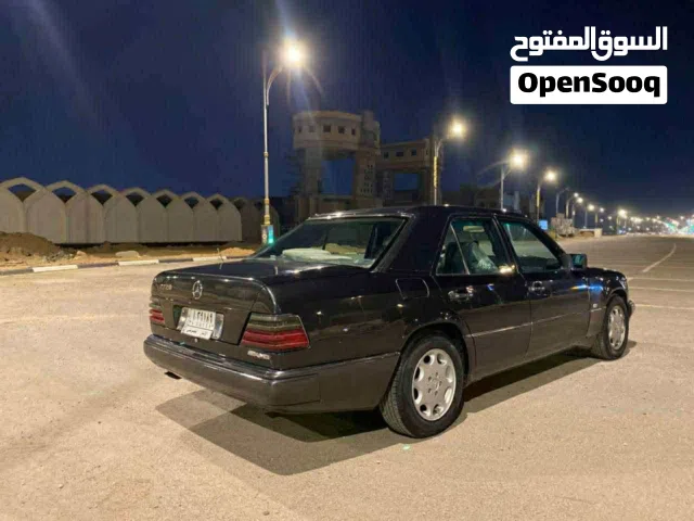 بيبي دب للبيع اصل